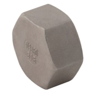 Cap Female Plug BSPP