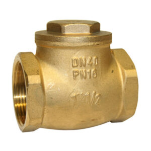 Brass Swing Check Valve